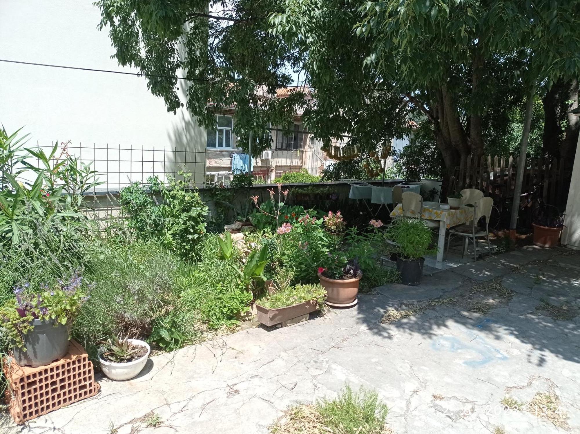 Appartement Todor